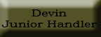 devin
