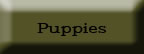 puppies